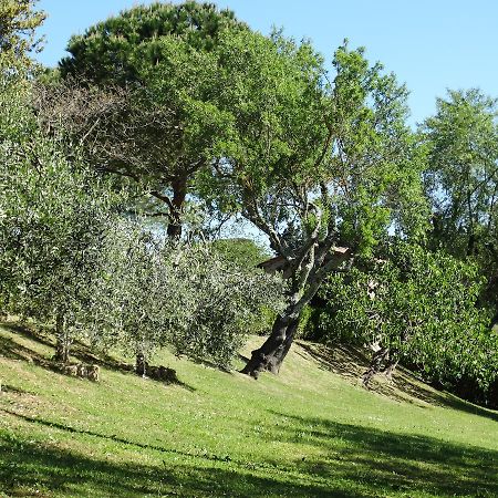 Santa Maria Della Pace Bed and Breakfast Montespertoli Eksteriør billede