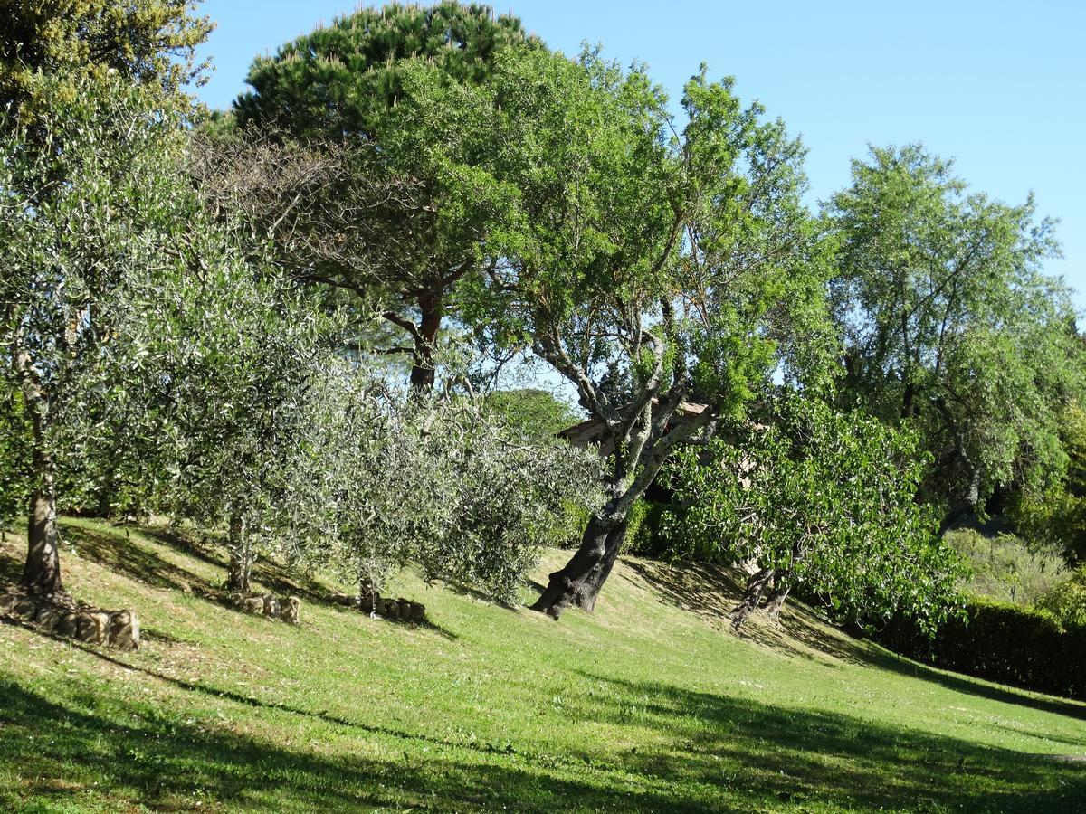 Santa Maria Della Pace Bed and Breakfast Montespertoli Eksteriør billede