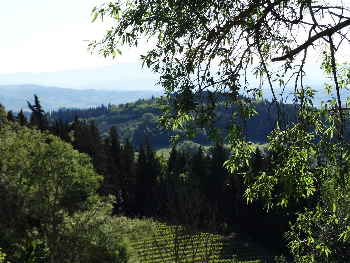 Santa Maria Della Pace Bed and Breakfast Montespertoli Eksteriør billede